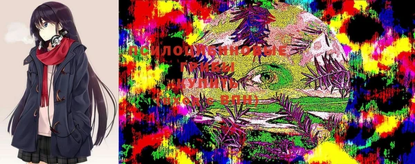 2c-b Куйбышев