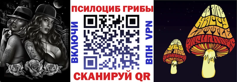 Псилоцибиновые грибы мухоморы  Купить  Гудермес 